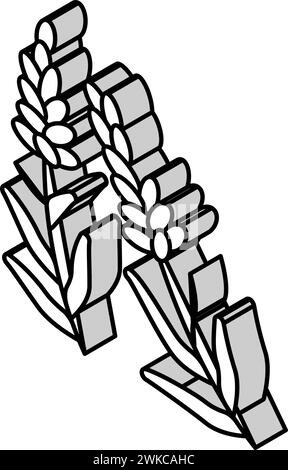 lavender herb isometric icon vector illustration Stock Vector