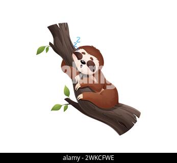 Cartoon lazy sloth animal character sleeps on tree. Isolated vector cute tropical personage peacefully slumbers or naps with tranquil expression, capturing the essence of its slow and easygoing nature Stock Vector