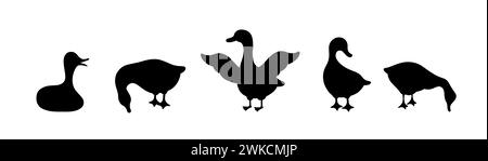 Set of gooses silhouette. Domestic and wild ducks on white background. Agriculture birds on farm. Rural wildlife. Hand drawn print. Vector Stock Vector