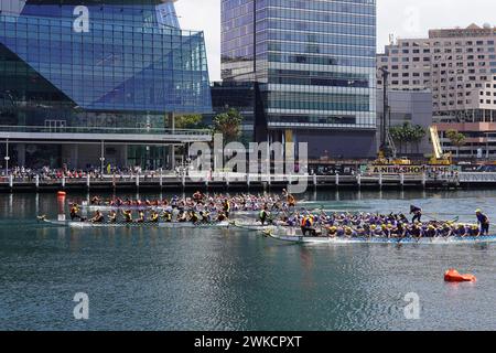 Sydney, Australia. 18th Feb, 2024. Participants race during the Sydney Lunar New Year Dragon Boat Festival 2024 at Darling Harbour in Sydney, Australia, Feb. 18, 2024. TO GO WITH 'Feature: Dragon boat races making waves in sports-mad, multicultural Australia' Credit: Wang Qi/Xinhua/Alamy Live News Stock Photo