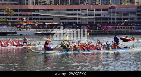 Sydney, Australia. 18th Feb, 2024. Participants race during the Sydney Lunar New Year Dragon Boat Festival 2024 at Darling Harbour in Sydney, Australia, Feb. 18, 2024. TO GO WITH 'Feature: Dragon boat races making waves in sports-mad, multicultural Australia' Credit: Wang Qi/Xinhua/Alamy Live News Stock Photo