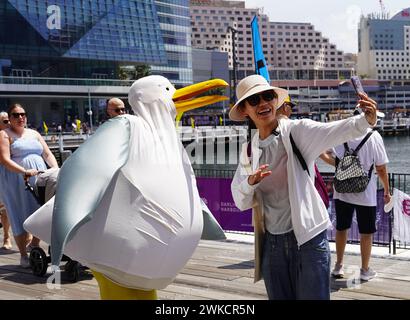 Sydney, Australia. 18th Feb, 2024. A visitor poses for a photo with a person dressed in seagull costume during the Sydney Lunar New Year Dragon Boat Festival 2024 at Darling Harbour in Sydney, Australia, Feb. 18, 2024. TO GO WITH 'Feature: Dragon boat races making waves in sports-mad, multicultural Australia' Credit: Wang Qi/Xinhua/Alamy Live News Stock Photo