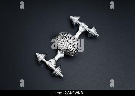 Steel model of the human brain flexing its cognitive muscles. With hands firmly gripping dumbbells, the brain symbolically engages in a workout. Stock Photo