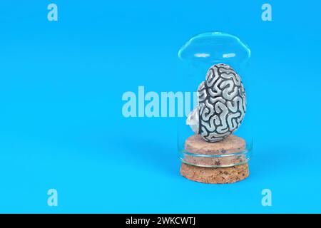 Miniature steel human brain delicately encased in a glass vial, set against a serene blue background. Mental clarity related concept. Stock Photo