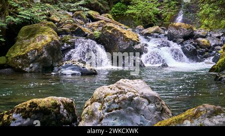 A small waterfall tumbles through the bushes and over moss covered boulders to a green pool. Stock Photo