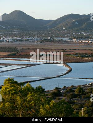 Beautiful sunset in the Ses Salines area in the town of Sant Jordi on the island of Ibiza. Stock Photo