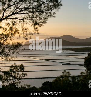 Beautiful sunset in the Ses Salines area in the town of Sant Jordi on the island of Ibiza. Stock Photo