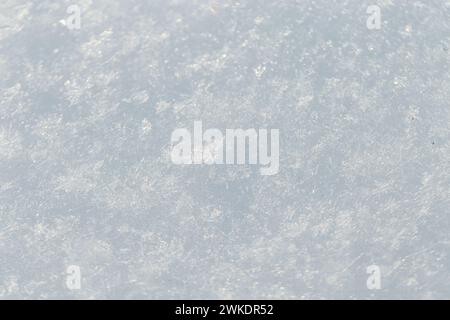 White snow texture macro. Winter background. Snowflakes Stock Photo