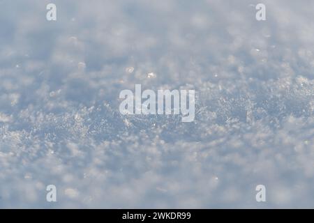Snow texture macro with snowflakes. Winter background Stock Photo