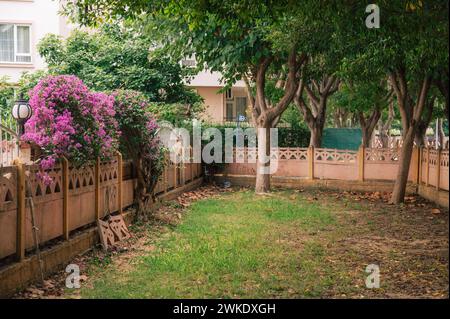 Summer blooming oleander flowers in residential area on Alanya street, Turkey Stock Photo