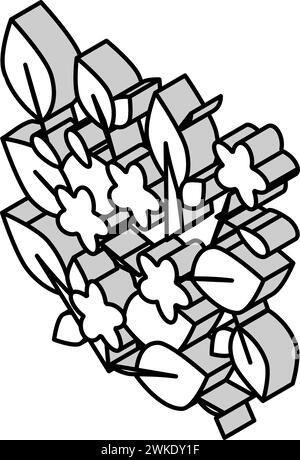 caroline jessamine isometric icon vector illustration Stock Vector