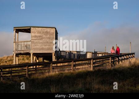 Highland Wildlife Park, kincraig, Parque Nacional Cairngorms, Escocia, Reino Unido. Stock Photo