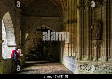 Roncesvalles, Gothic cloister, Royal Collegiate Church of Santa María de Roncesvalles, Santiago's road, Navarra, Spain. Stock Photo