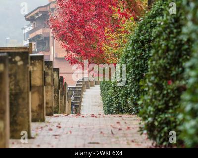 autumn walk in the rain, Segura, Idiazabal, Gipuzkoa, Basque country, Spain. Stock Photo