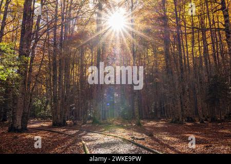 adapted path, Ordesa i Monte Perdido National Park, Province of Huesca, Aragon. Stock Photo