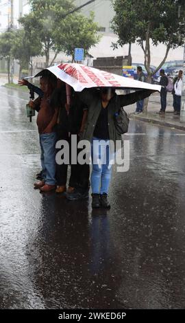 COMUNEROS-KICHWAS-CORTE-CONSTITUCIINAL Quito, martes 20 de febrero del 2024 Comuneros y comuneras Kichwas de la Amazonia, acudieron a un planton en la Corte Constitucional, para solicitar se de respuesta al caso del derrame de 15800 de hidrocarburos derramados el 7 de abril del 2020, que afectan a sus comunidades. Fotos:Rolando Enriquez/API Quito Pichincha Ecuador EVN-COMUNEROS-KICHWAS-CORTE-CONSTITUCIINAL-ee37407a179f4643fccb142aa958a290 *** KICHWAS COMMUNALS IN THE CONSTITUTIONAL COURT Quito, Tuesday, February 20, 2024 Kichwa community members of the Amazon, went to a sit-in at the Constitut Stock Photo