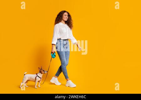 Woman walking with her Jack Russell on leash against yellow background Stock Photo
