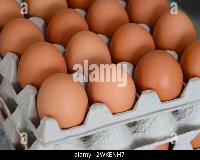 A close-up shot of chicken eggs in egg cartons Stock Photo