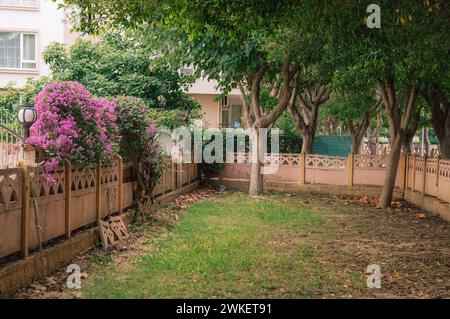 Summer blooming oleander flowers in residential area on Alanya street, Turkey Stock Photo