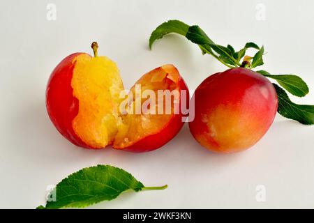 Ripe, juicy cherry plum fruits in the amount of two with leaves lie on a white table. Stock Photo