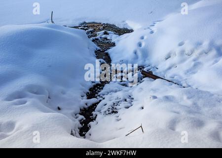 A spring flowing from an iron pipe near a snow-covered river in winter Stock Photo