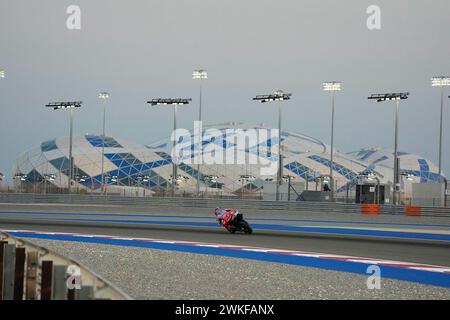 Doha, Katar. 20th Feb, 2024. February 20th, 2024, Losail International Circuit, Doha, MotoGP test drives in Qatar 2024, in the picture Marc Marquez from Spain, Gresini Racing Credit: dpa/Alamy Live News Stock Photo