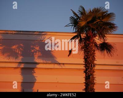 Shadows from palm trees on the facade of a building in the rays of the setting sun. The colored ribbons on the pole sway in the wind. Rovinj, Croatia Stock Photo