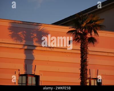 Shadows from palm trees on the facade of a building in the rays of the setting sun. The colored ribbons on the pole sway in the wind. Rovinj, Croatia Stock Photo