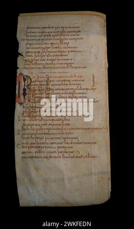 'Liber Himnorum'. Folio written in Visigothic lower case, including part of the hymn of Saint Cucuphas (San Cucufate) and part of another hymn of Saints Justa and Rufina. Fragment. Manuscript on parchment. 10th century. Provenance unknown. On loan, Parroquia de las Santas Justa y Rufina, Toledo. Museum of Visigoth Councils and Culture. Toledo, Castile-La Mancha, Spain. Stock Photo