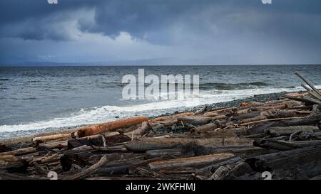 Ocean waves beneath a dramatic sky from a beach covered in driftwood at dusk. Stock Photo