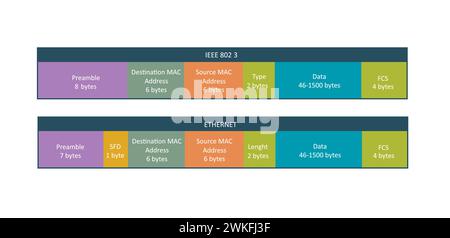 Two standard types of ethernet frame, vector Stock Vector