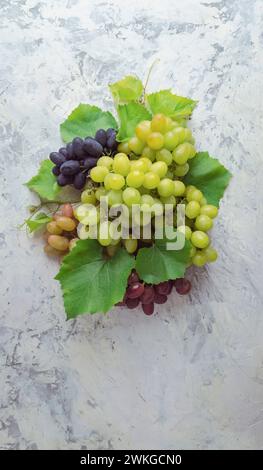 grapes. berries and leaves of grape-vine.  bunch of grapes hanging on a vine . wine making. grapes, sweet taste, fragrant, crispy, fresh from the tree Stock Photo