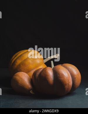 Autumn ripe pumpkins on a dark background with space for text. Thanksgiving or Halloween concept. Diet. Horticulture. Natural useful product. Diet. Pu Stock Photo
