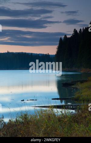 Clear Lake dawn, Willamette National Forest, Oregon Stock Photo - Alamy
