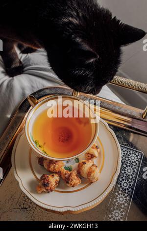 curious black cat sniffing cute teacup of black tea with mini croissants on saucer, silver tray on bed Stock Photo
