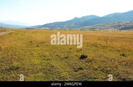 Endless hilly steppe with tall grass at the foot of a mountain range under a bright and cloudy summer sky. Khakassia, Siberia, Russia. Stock Photo