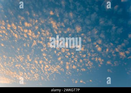 View of the blue sky with small, fluffy, orange illuminated clouds at dusk, Cirrocumulus, high fleecy clouds, Ilsede, Lower Saxony, Germany Stock Photo