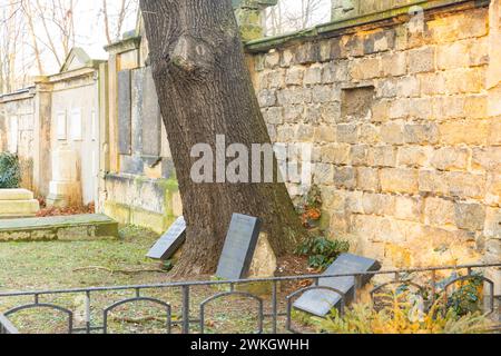 The Trinitatisfriedhof cemetery in Dresden's Johannstadt district is one of the city's burial grounds originally laid out as an epidemic cemetery Stock Photo