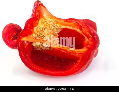 Spoilt Red bell pepper cut in half isolated on white with copy space Stock Photo