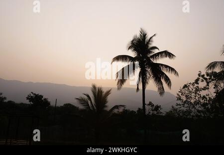 Silhouetted Coconut trees juxtapose against a breathtaking mountain sunset Stock Photo