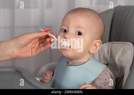 A mother feeds a baby boy who is 8 months old with meat puree. Feeding an infant. Stock Photo