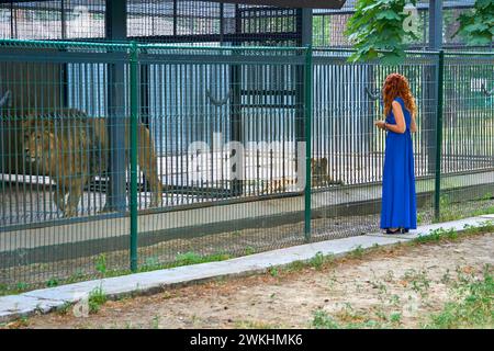 Young red haired woman in a blue dress stands near a cage with lions in a zoo Stock Photo