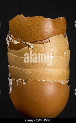 An Egg shell close-up and dark background Stock Photo