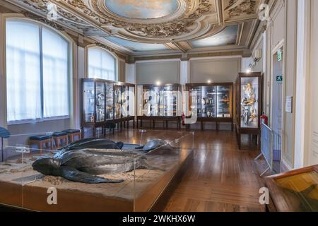 Vasco da Gama Aquarium interior in Alges, Lisbon District, Portugal. Exhibition room in historic museum aquarium, opened in 1898. Stock Photo