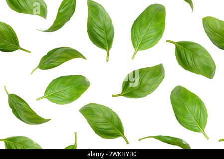 Fresh green organic basil leaves flying, isolated on white background. Creative food levitation, seamless pattern for design. Ingredient, spice for co Stock Photo