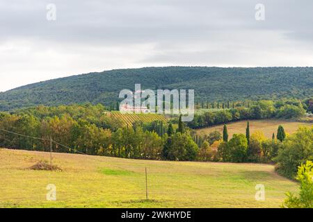 House surrounded by cypress trees among the hills of the Monteriggioni , Monteriggioni region, Tuscany, Italy. Colourful field in the foreground, cypr Stock Photo