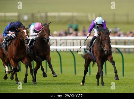 File photo dated 30-09-2023 of Ghostwriter (right). Clive Cox has the Qipco 2000 Guineas in mind as an early goal for his exciting unbeaten colt Ghostwriter. Issue date: Wednesday February 21, 2024. Stock Photo