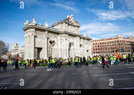 Spanish farmer demonstration in Madrid A general view of Puerta de Alcala during the farmers demonstration in Madrid the protest, organized by Spanish trade unions, is focused on concerns over unfair competition from products originating outside the EU. Farmers are also unhappy about the meager profits derived from their crops and are critical of EU agricultural policy. Madrid Puerta de Alcala Madrid Spain Copyright: xAlbertoxGardinx AGardin 20240221 manifestacion tractores madrid 013 Stock Photo