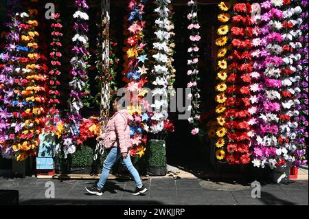 Passers-by in front of an artificial flower shop in the historic centre, Mexico City Stock Photo