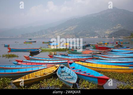 Colorful boats on Phewa lake, Pokhara, Nepal. Stock Photo